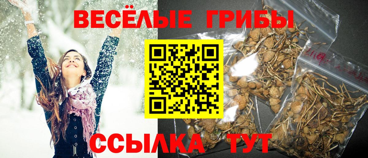 Галлюциногенные грибы MAGIC MUSHROOMS  Галлюциногенные грибы Magic Shrooms  Вход с VPN  Советск 