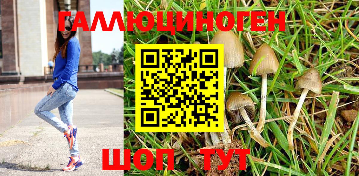Галлюциногенные грибы Cubensis Советск